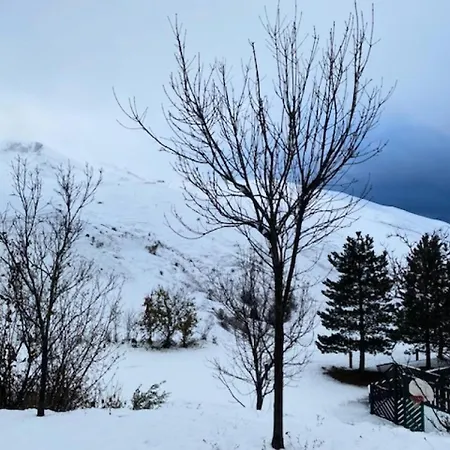 Hauts De Peyragudes Mp - T3/8pers -haut De Peyragudes C10- Peyresourde Mae-7481
